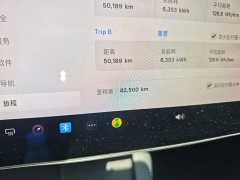 Tesla Model 3 Standard Range RWD Upgrade 3D6 - ფოტო 5