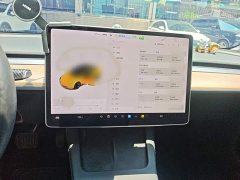 Tesla Model 3 Standard Range RWD Upgrade 3D6 - ფოტო 6