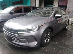 BYD Destroyer 05 Glory Edition DM-i 55KM Luxury - ფოტო 1