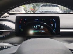 BYD Destroyer 05 Glory Edition DM-i 55KM Luxury - ფოტო 8