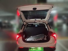 Neta V 2021 Standard Range Entertainment Edition Upgrade - ფოტო 10