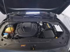 Geely Xingrui 2.0T Diesel Luxury - ფოტო 16