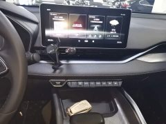 Geely Xingrui 2.0T Diesel Luxury - ფოტო 9