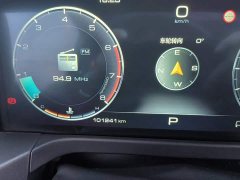 Tank 300 Off-Road Edition 2.0T Conqueror - ფოტო 8