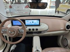Wuling Binguo 2025 333km Joy Edition - ფოტო 6