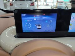 Wuling Binguo 2025 333km Joy Edition - ფოტო 8