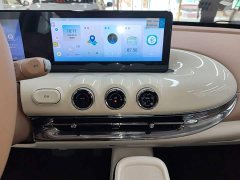 Wuling Binguo 2025 333km Joy Edition - ფოტო 9