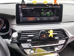 BMW 5 Series Facelift 530Li M Sport Luxury - ფოტო 6