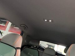BYD Yuan Plus Glory Edition 430KM Leading - ფოტო 13