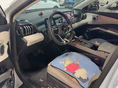 BYD Yuan Plus Glory Edition 430KM Leading - ფოტო 14