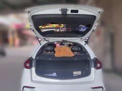 Geely Emgrand X3 2020 1.5L CVT Luxury - ფოტო 10