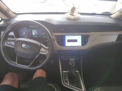Geely Emgrand X3 2020 1.5L CVT Luxury - ფოტო 13