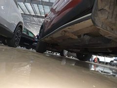 Great Wall Dachshund 1.5T DCT Two-Wheel Drive Malinois Edition - ფოტო 19