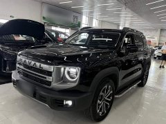 Great Wall Dachshund 2024 1.5T DCT Border Collie Edition - ფოტო 1