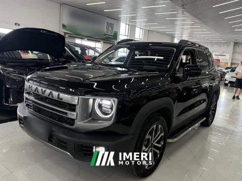 2025 Great Wall Dachshund 2024 1.5T DCT Border Collie Edition - ავტომობილი ჩინეთიდან