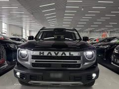 Great Wall Dachshund 2024 1.5T DCT Border Collie Edition - ფოტო 18