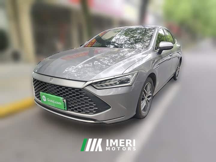 BYD Qin Plus DM-i 55KM Flagship