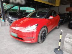 Tesla Model Y Long Range All-Wheel Drive - ფოტო 2