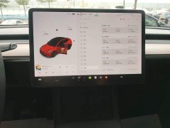 Tesla Model Y Long Range All-Wheel Drive - ფოტო 9