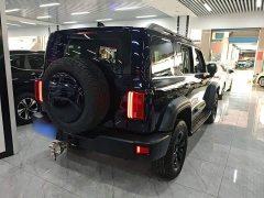 Tank 300 Off-Road Edition 2.0T Conqueror - ფოტო 5