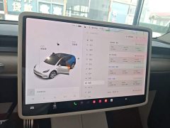 Tesla Model Y Standard Range RWD - ფოტო 9