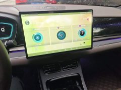 BYD Han 2020 DM AWD Performance Luxury Edition - ფოტო 6
