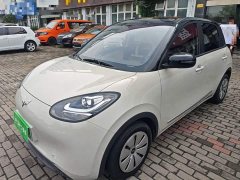 Wuling Binguo 203km Light Enjoy Edition - ფოტო 1