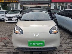Wuling Binguo 203km Light Enjoy Edition - ფოტო 3