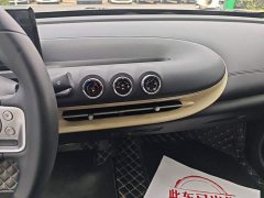 Wuling Binguo 203km Light Enjoy Edition - ფოტო 9