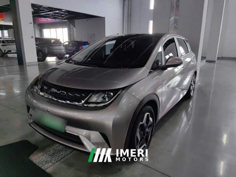 2023 BYD Dolphin 405km Fashion Edition - ავტომობილი ჩინეთიდან