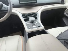 BYD Song Pro New Energy DM-i 71KM Glory Edition Pilot - ფოტო 10