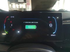 BYD Qin PLUS 2024 Glory Edition DM-i 55KM Leading - ფოტო 8