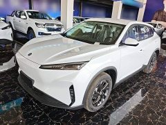 Dongfeng SKY EV01 2025 530km AIR Elite Edition - ფოტო 1