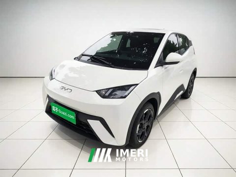2025 BYD Seagull 305km Freedom Edition - ავტომობილი ჩინეთიდან