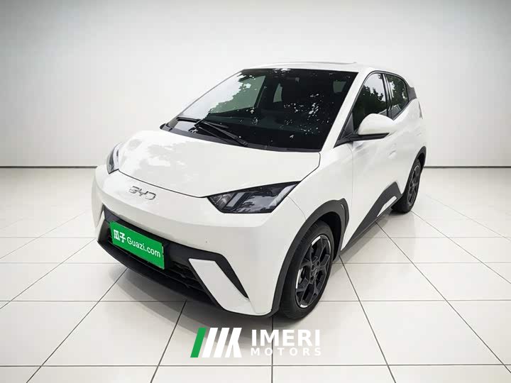 BYD Seagull 305km Freedom Edition