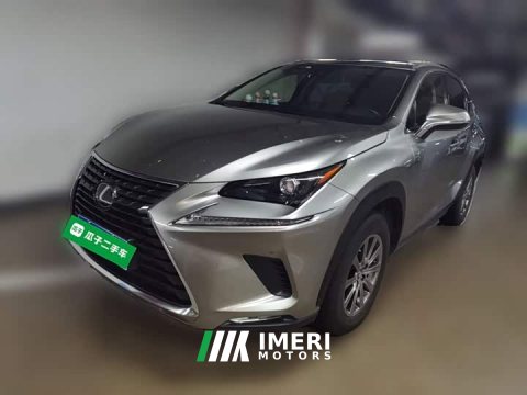 2021 Lexus NX 2020 200 AWD Sharp Luxury Edition National VI - ავტომობილი ჩინეთიდან