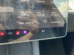 Tesla Model Y Long Range All-Wheel Drive - ფოტო 4