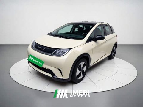 2024 BYD Dolphin 2023 420km Fashion Edition - ავტომობილი ჩინეთიდან
