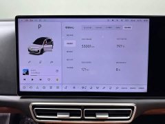 Li Auto L6 Pro - ფოტო 12