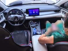 BYD Seagull 05 DM-i Smart Drive Edition 55KM Luxury - ფოტო 13