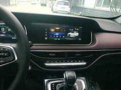 GAC Aion M6 PRO 270T DCT Luxury - ფოტო 9