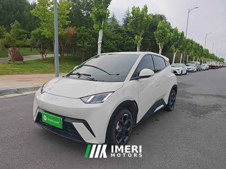 BYD Seagull 305km Freedom Edition