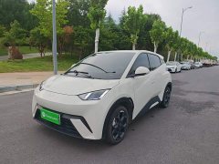 BYD Seagull 2025 305km Freedom Edition - ფოტო 1