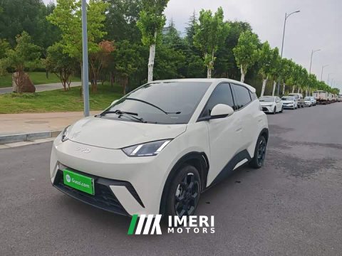 2024 BYD Seagull 2025 305km Freedom Edition - ავტომობილი ჩინეთიდან