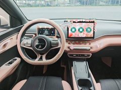 BYD Seagull 2025 305km Freedom Edition - ფოტო 11