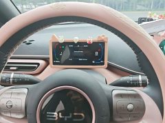 BYD Seagull 2025 305km Freedom Edition - ფოტო 13