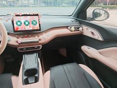 BYD Seagull 2025 305km Freedom Edition - ფოტო 14