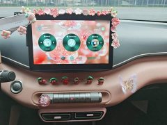BYD Seagull 2025 305km Freedom Edition - ფოტო 5