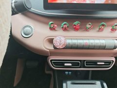 BYD Seagull 2025 305km Freedom Edition - ფოტო 6