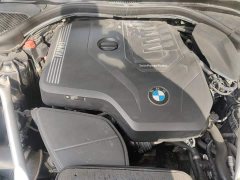 BMW 5 Series Facelift 530Li Premier M Sport Package - ფოტო 11